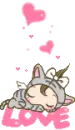 baby cat
