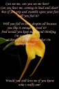 love stricken