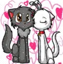 love kitties