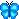 blue butterfly