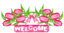 welcome