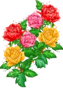 roses
