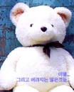 white teddy bear