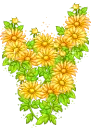 yellow daisys