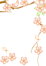 cherry bloosom flowers
