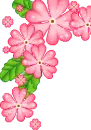 pink flowers