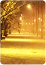 winter city
