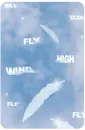 feather in the sky fly high wind