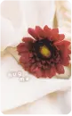 hug me flower