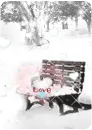 love winter