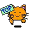 the cat is at the TOP