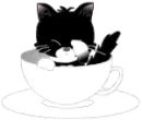 cute kitty