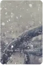 winter story the first snow driving