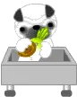 puppy