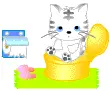 kitty