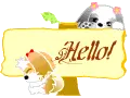 hello!
