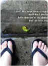 flip flop