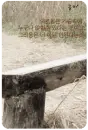 wooden bench