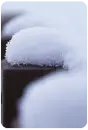 winter snow