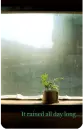 it rained all day long