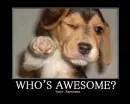 cute dog