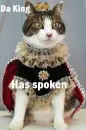 King Cat