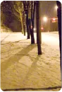 winter night