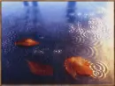 Fallen leaves in the rain ^-^