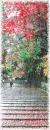 autumn rain