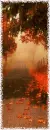  	autumn rain