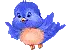 bird