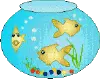 fishbowl
