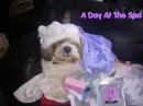Spa Day
