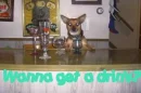 Drink?