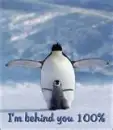 IM 100% Behind YOu