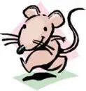 MOUSE