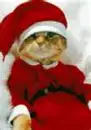 Santa Cat