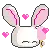 Cute Bunny