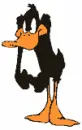 Daffy Duck