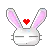 Cute Bunny