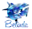 Belinda - Dolphins
