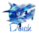 Dinah - Dolphins