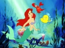 under the sea