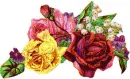 roses