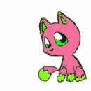 Strawberry cat