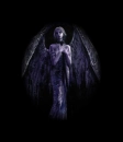 gothical fairy