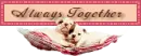 always together puppy blinkey