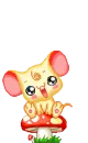 mouse on a mushroom