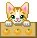 tiny cat