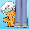 Purr